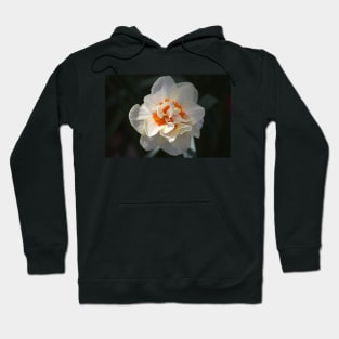 Blooming Double Daffodil Hoodie